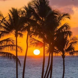 Meet your Posher, Heat Style